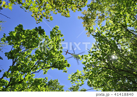 樹林帯の上を飛ぶヘリコプター 41418840