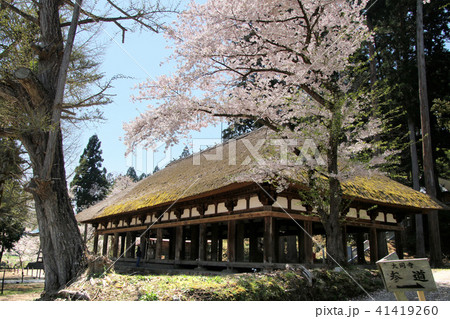 長床の桜（福島県・喜多方市） 41419260