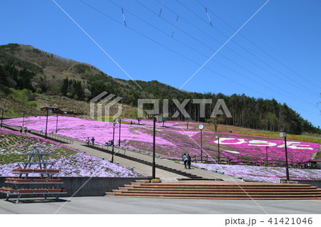 ジュピアランドひらたの芝桜 福島県 平田村 の写真素材