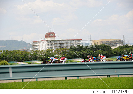 競馬 競馬 41421395