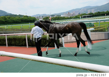 勝ち馬 勝ち馬 41421397