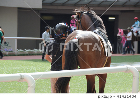 パドック風景 41421404