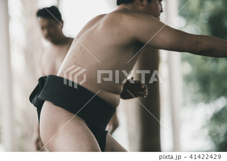 Sumo wrestling Sumo wrestling 41422429