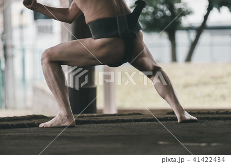 Sumo wrestling 41422434