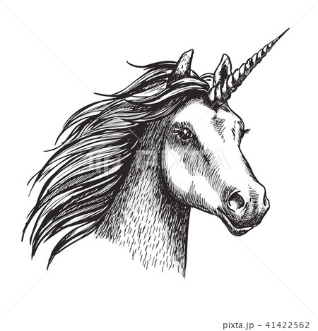 Unicorn vector sketch mystic magic horse Unicorn vector sketch mystic magic horse 41422562