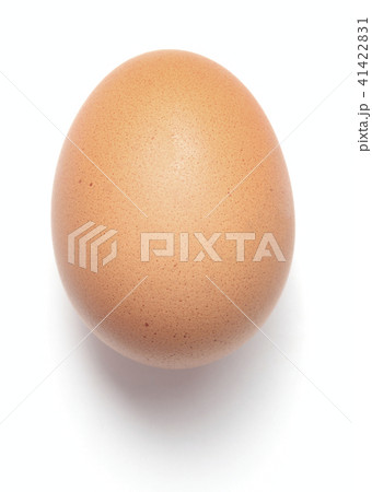 single egg isolated single egg isolated 41422831