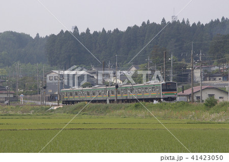 田園を行く宇都宮線205系（元埼京線車両：宇都宮⇔黒磯） 41423050