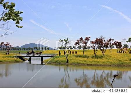 ガーデン 庭園 湖 41423682