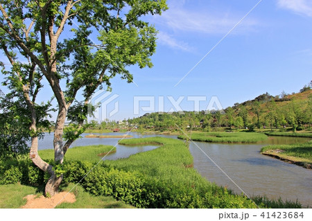 春 ガーデン 庭園 41423684