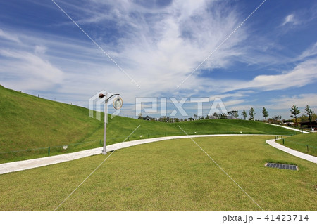 春 ガーデン 庭園 41423714