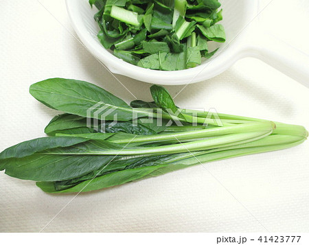 カットした小松菜　料理の下ごしらえ 41423777