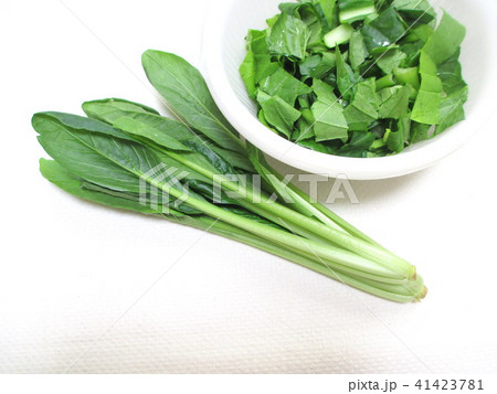 カットした小松菜　料理の下ごしらえ 41423781