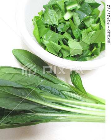 カットした小松菜　料理の下ごしらえ 41423782