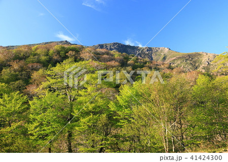 新緑越の早池峰山　山頂への道 41424300