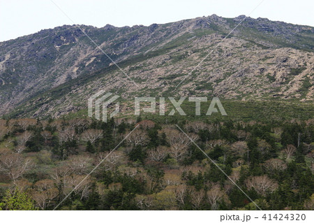 早池峰山　山頂への道 41424320