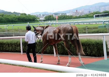 勝ち馬 勝ち馬 41424608