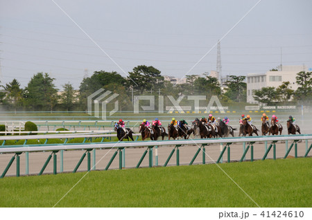 競馬 41424610