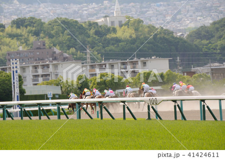 競馬 41424611