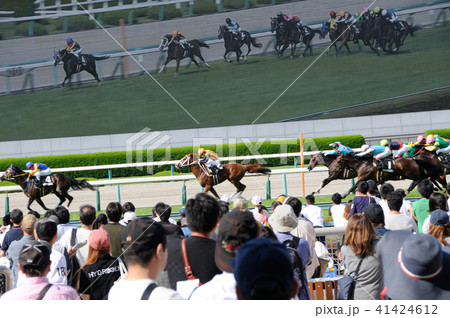 競馬 41424612