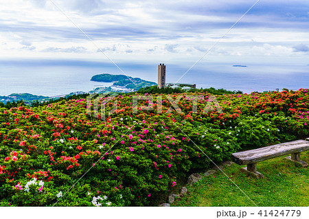 （神奈川県）湯河原　星ヶ山公園　さつきの郷 41424779