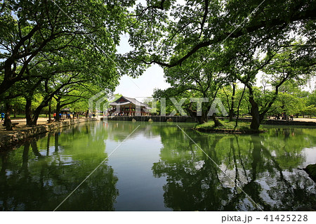 広寒楼 池 木 41425228