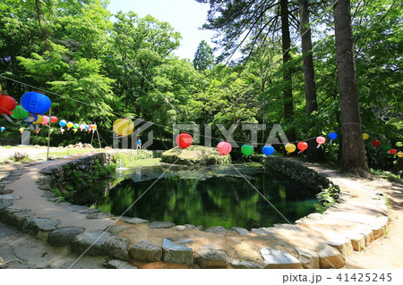 仙岩寺 提灯 池 41425245
