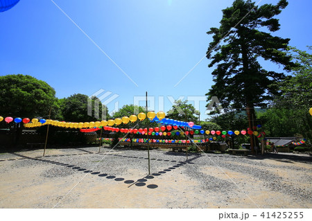 仙岩寺 提灯 寺院 41425255