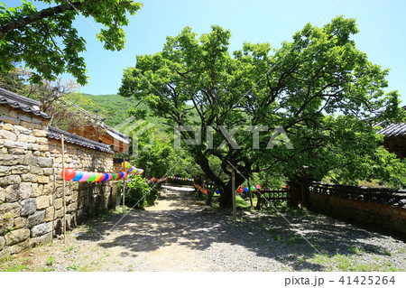 仙岩寺 木 提灯 41425264