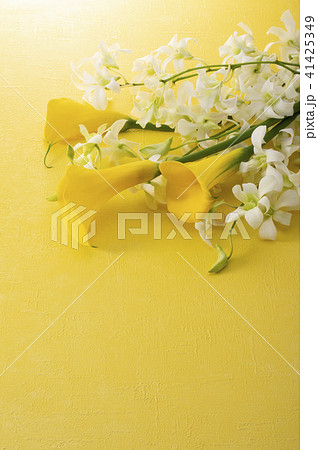 花束 花束 41425349