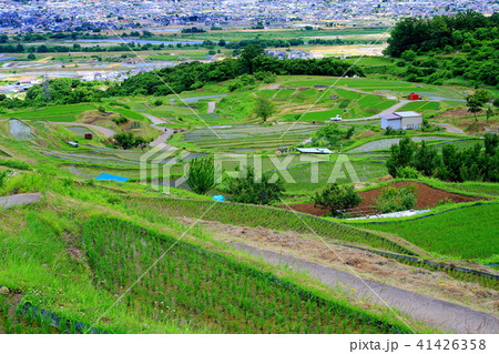 日本三大車窓姨捨の棚田 日本三大車窓姨捨の棚田 41426358