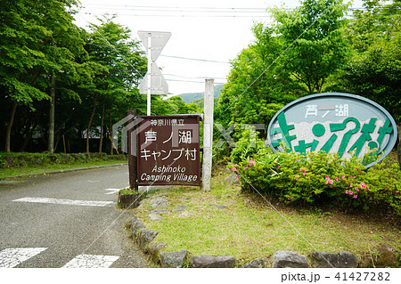 芦ノ湖キャンプ村　新緑 41427282