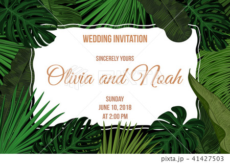 Tropic leaves background with frame for your text. Eps10 vector template. 41427503