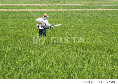 農作業　種をまく人　農業　イメージ素材　 41427509