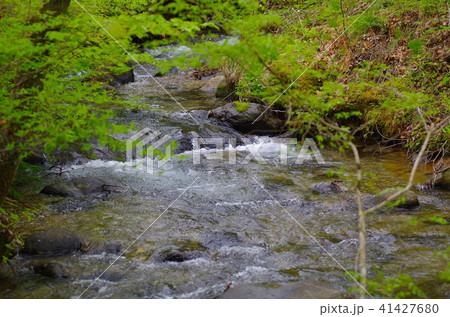 せせらぎ 41427680