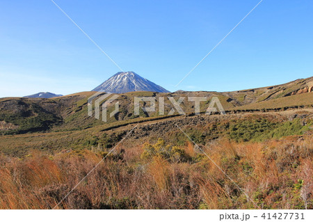ナウルホエ山 トンガリロ国立公園 ニュージーランド ナウルホエ山 トンガリロ国立公園 ニュージーランド 41427731
