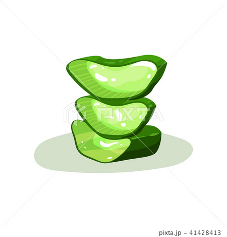 Three green pieces of aloe vera. Natural ingredient for cosmetic products. Botanical theme. Flat 41428413