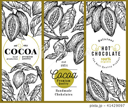Cocoa bean tree banner template set. Chocolate cocoa beans background. Vector hand drawn 41429097