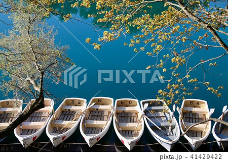 春の五色沼（福島県・裏磐梯） 41429422