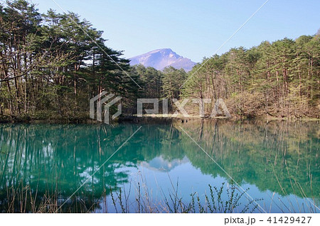 春の五色沼（福島県・裏磐梯） 41429427