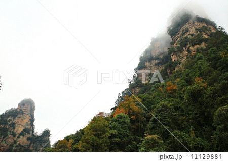 張家界 雲海 山 41429884