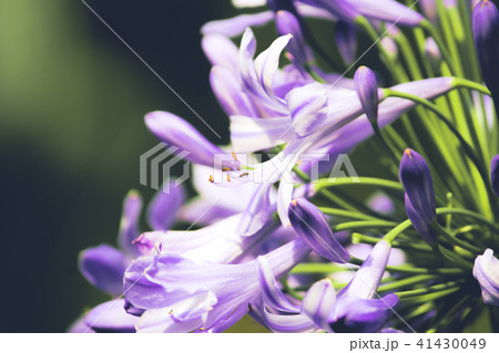 台湾 台中市 台中 41430049