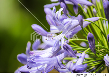 台湾 台中市 台中 41430051