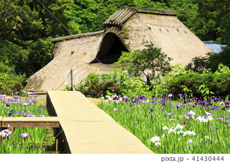 千古の家 千古の家 41430444