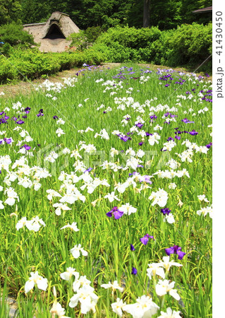 千古の家 41430450