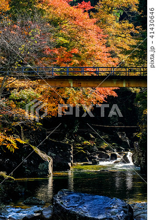 小戸名渓谷 (秋) 小戸名渓谷 (秋) 41430646