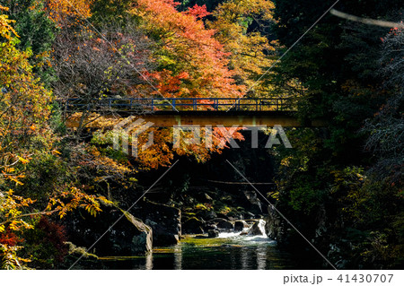 小戸名渓谷 (秋) 小戸名渓谷 (秋) 41430707