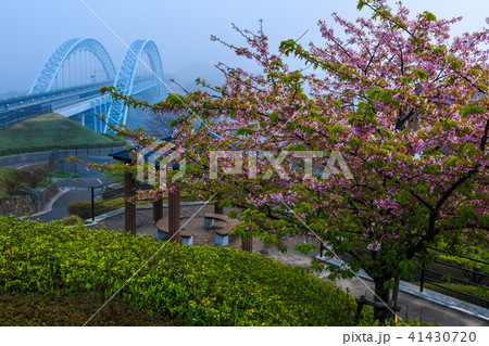 新西海橋　夜明けの朝もや　【長崎県西海市】 41430720