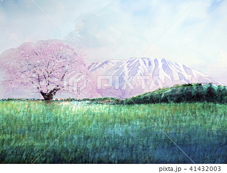 小岩井農場の1本桜 小岩井農場 1本桜 小岩井農場の1本桜 小岩井農場 1本桜 41432003