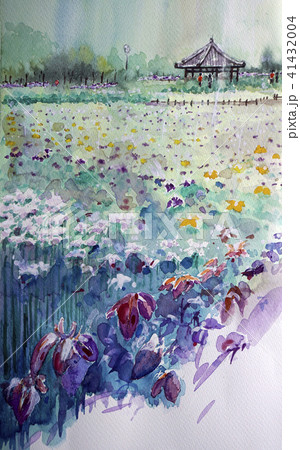 花の風景イラスト画、花菖蒲が咲く永沢寺の池 41432004