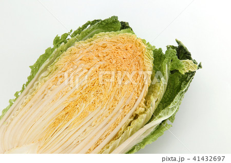 白菜 41432697